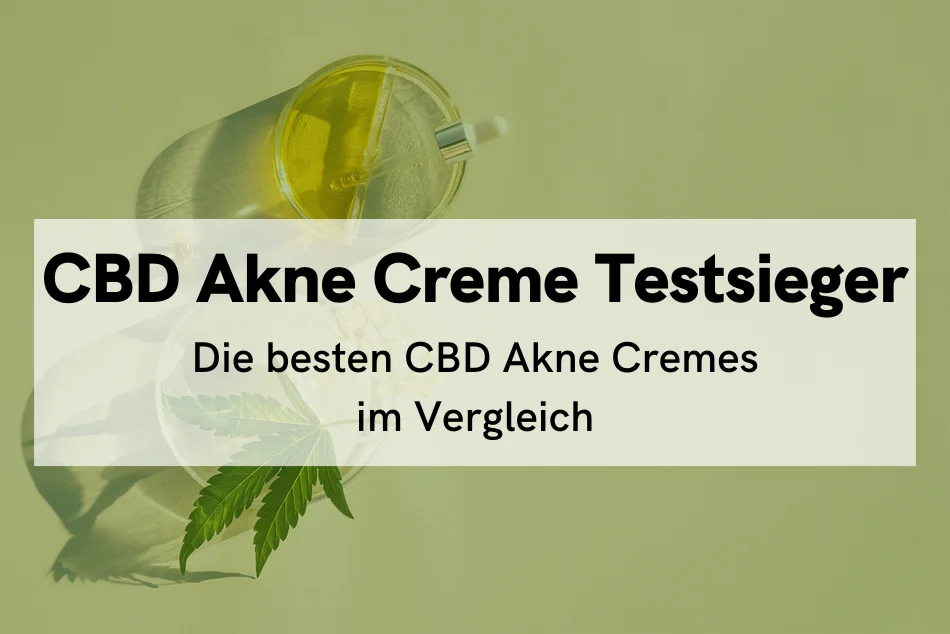 CBD Akne Creme Testsieger